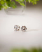 Starlit Stud Earrings